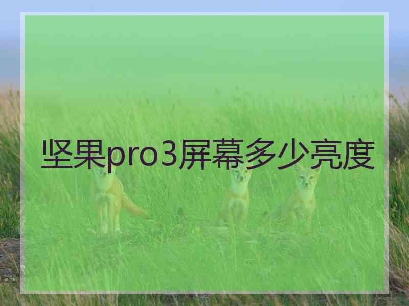 坚果pro3屏幕多少亮度