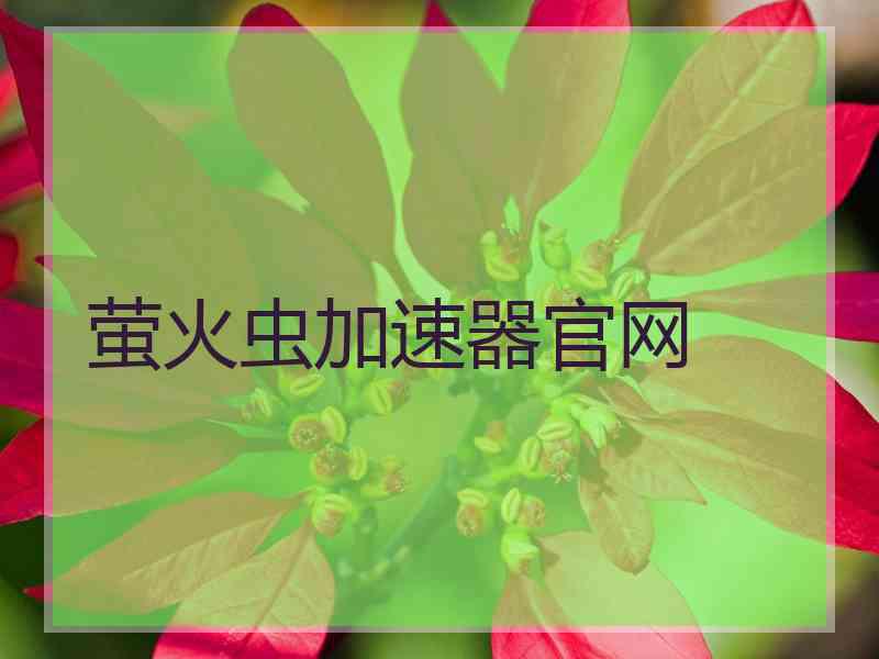 萤火虫加速器官网