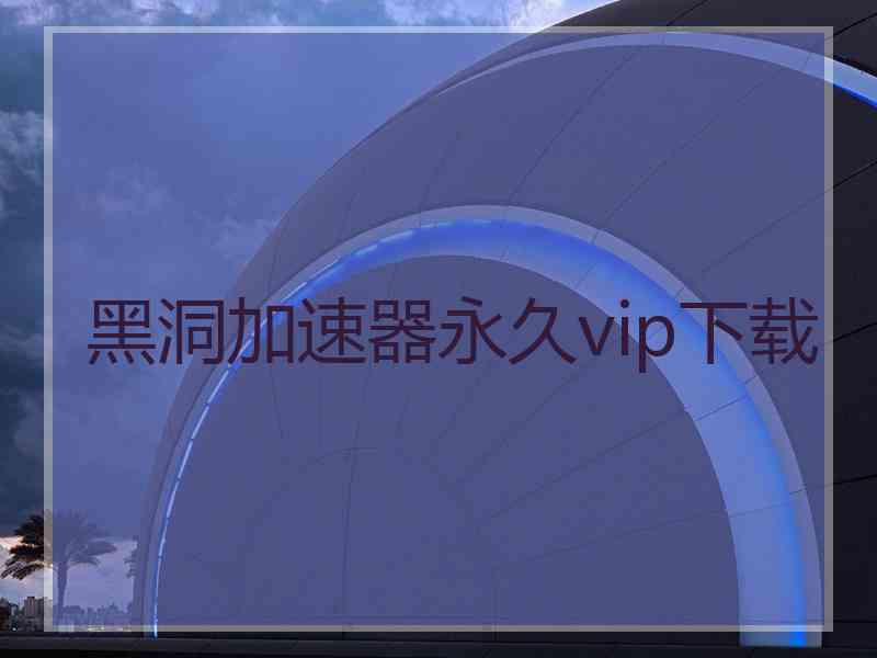 黑洞加速器永久vip下载