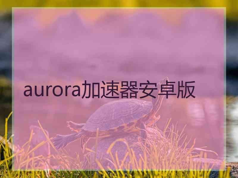 aurora加速器安卓版