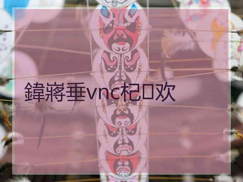 鍏嶈垂vnc杞欢