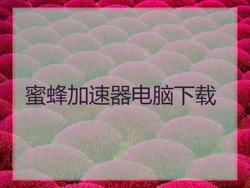 蜜蜂加速器电脑下载