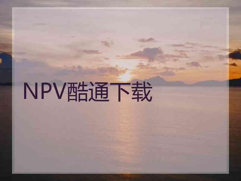 NPV酷通下载