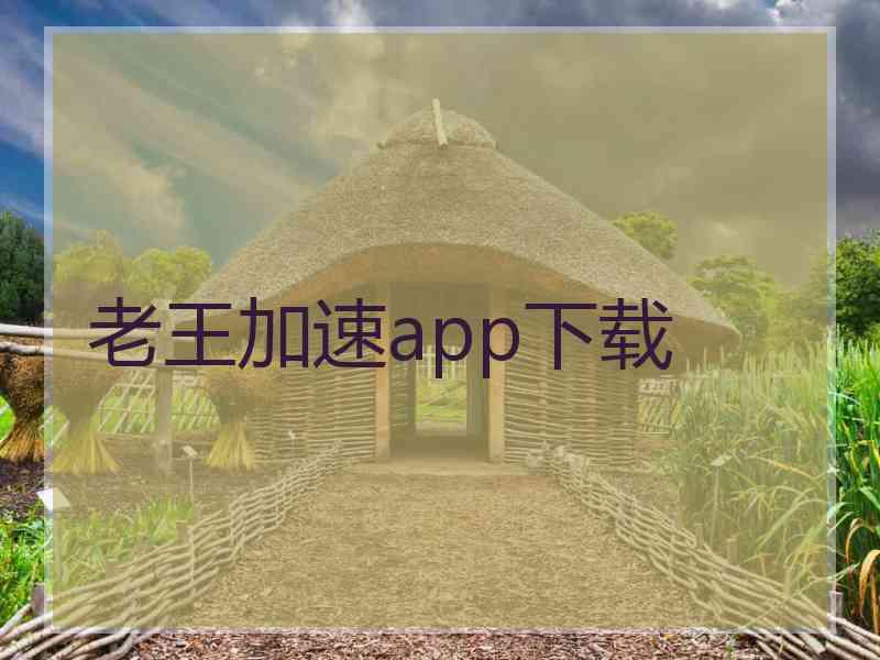 老王加速app下载