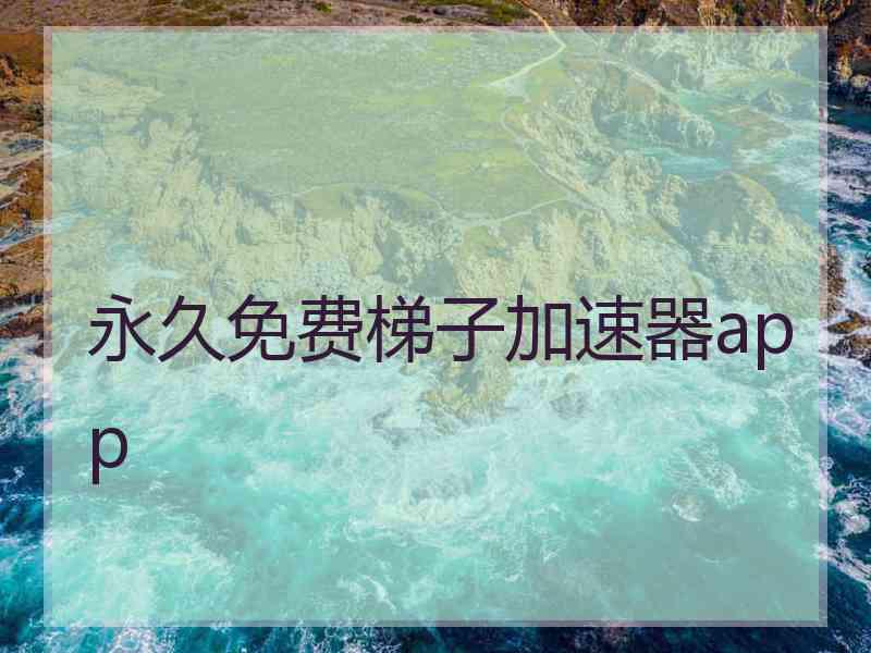 永久免费梯子加速器app