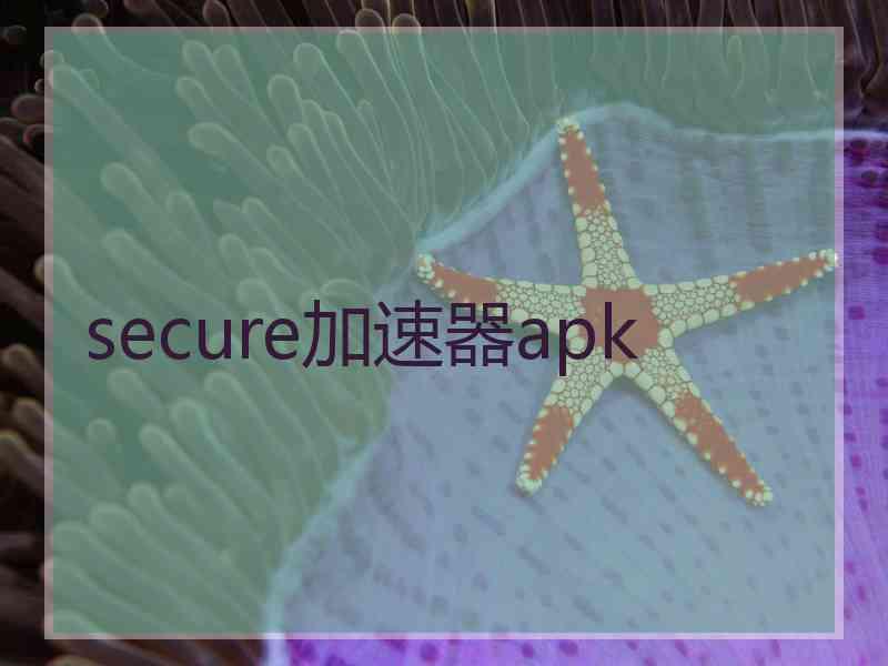 secure加速器apk