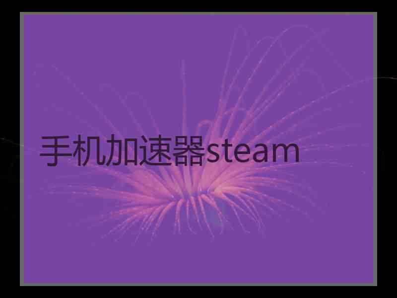 手机加速器steam