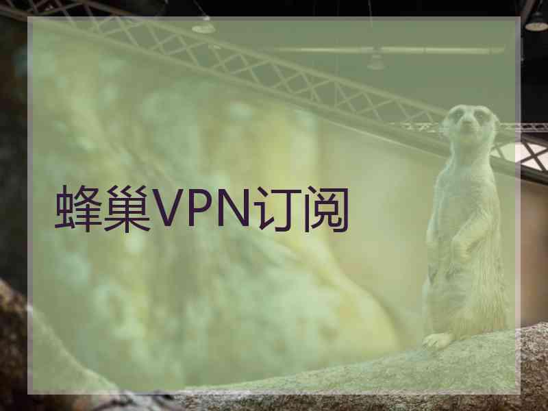 蜂巢VPN订阅