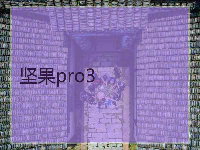 坚果pro3