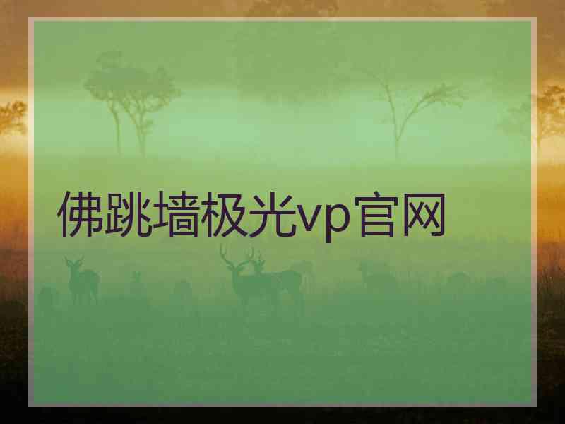 佛跳墙极光vp官网