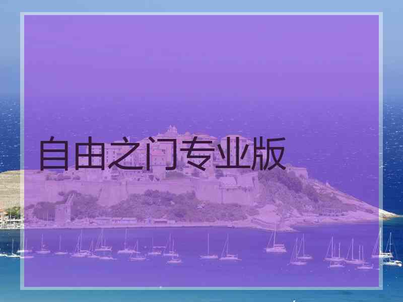 自由之门专业版