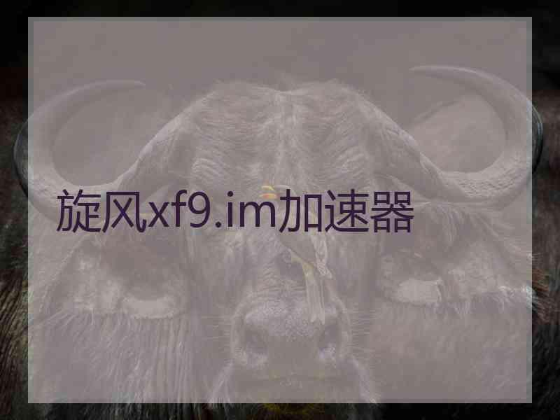 旋风xf9.im加速器