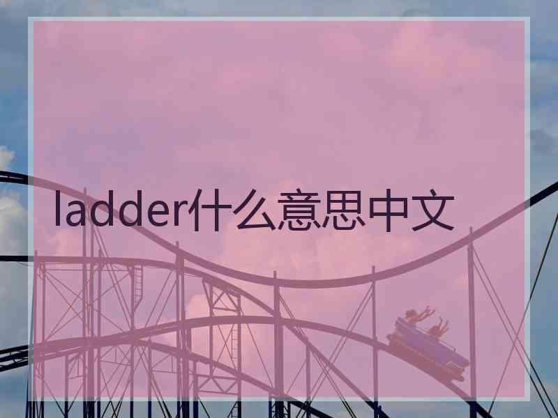 ladder什么意思中文