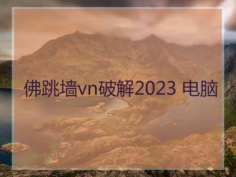 佛跳墙vn破解2023 电脑