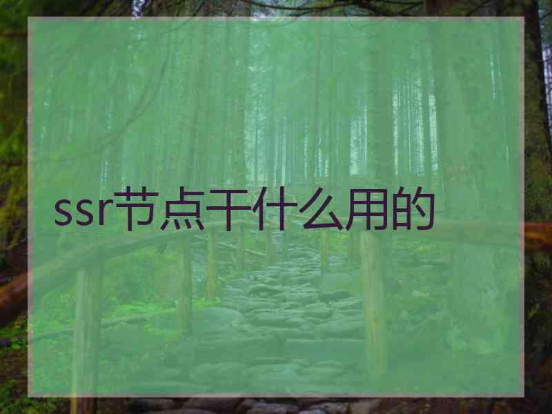 ssr节点干什么用的