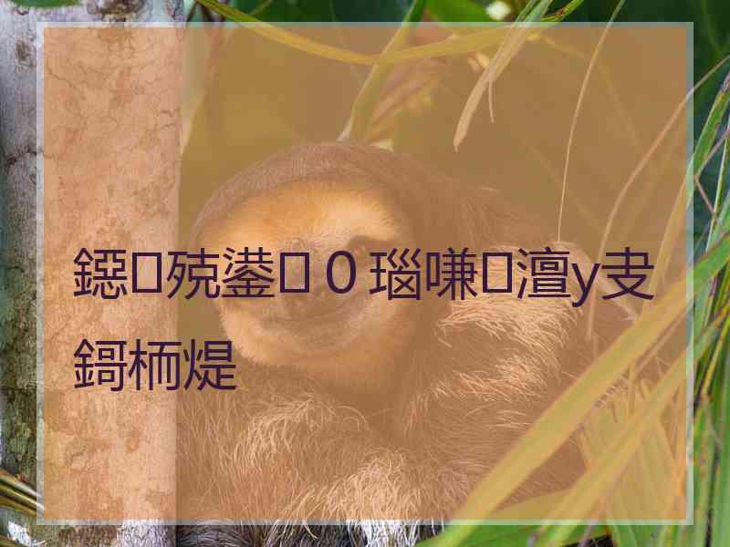 鐚殑鍙０瑙嗛澶у叏鎶栭煶