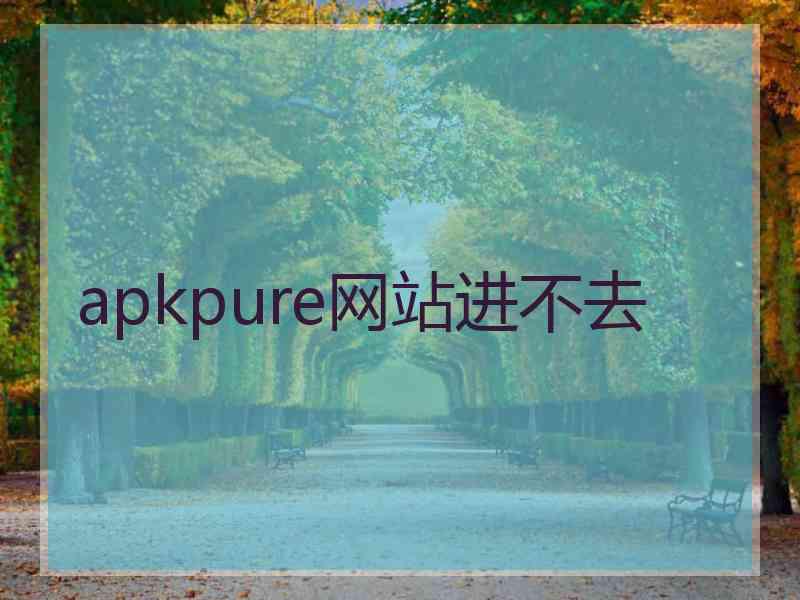 apkpure网站进不去