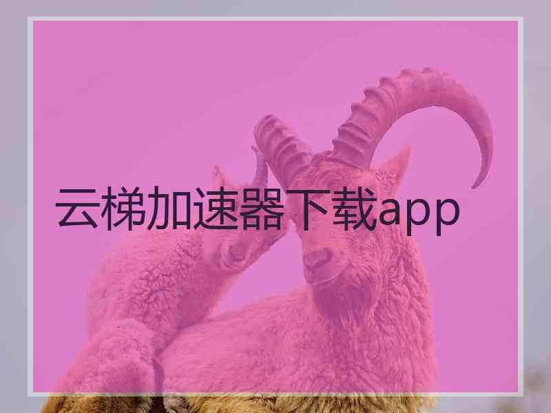 云梯加速器下载app