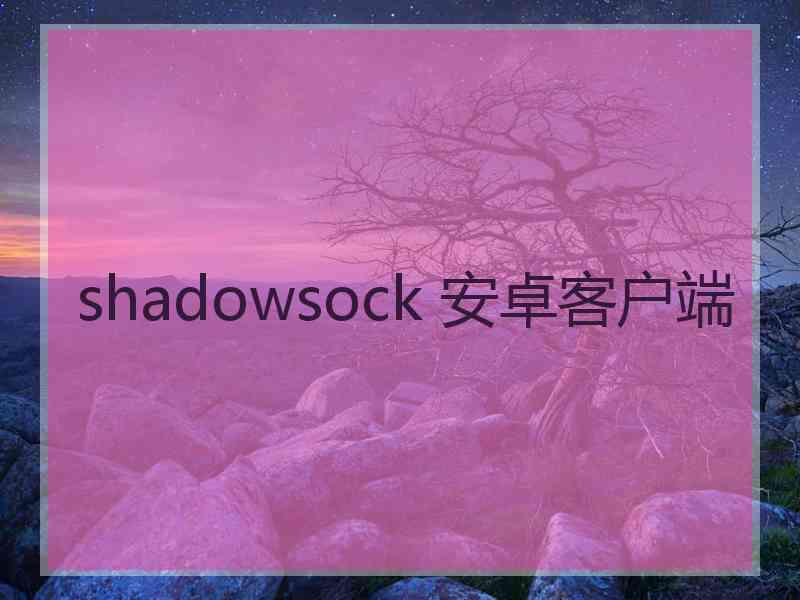 shadowsock 安卓客户端