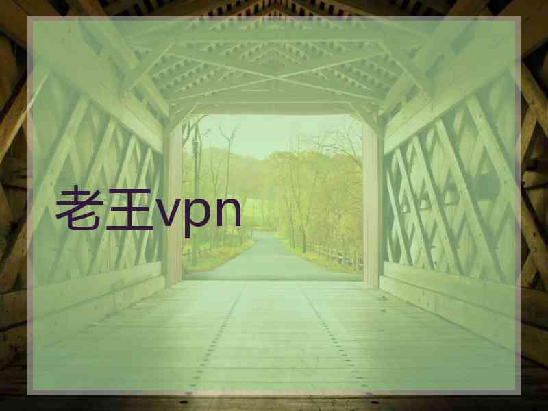 老王vpn