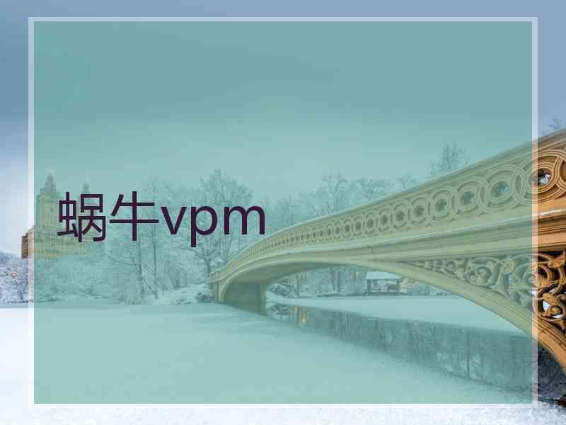 蜗牛vpm