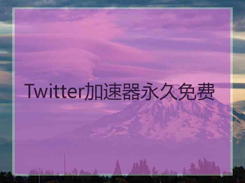 Twitter加速器永久免费