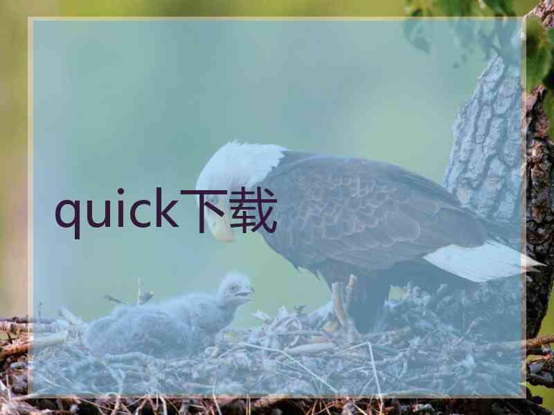 quick下载