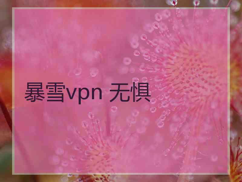 暴雪vpn 无惧