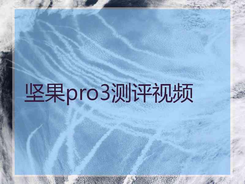 坚果pro3测评视频