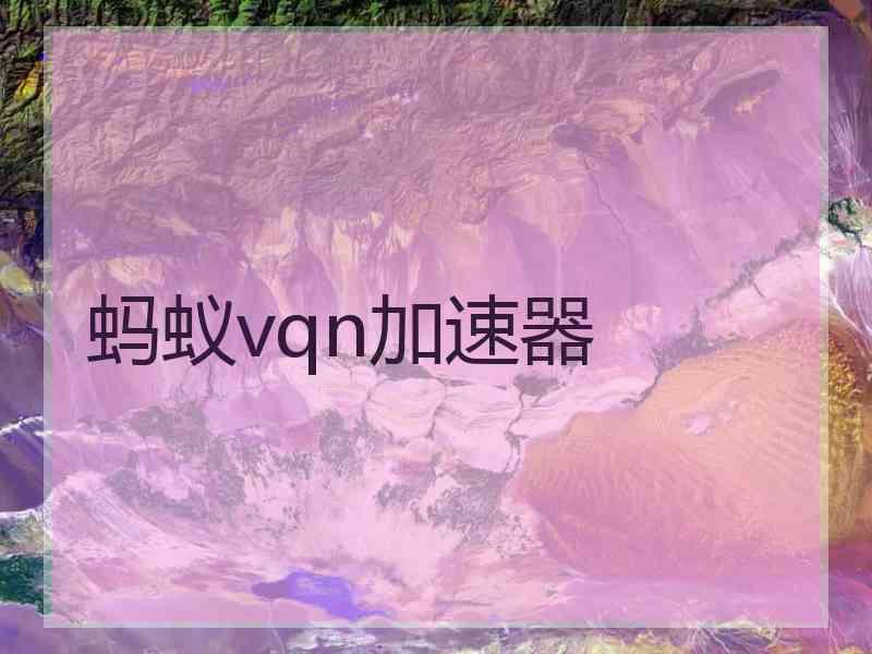 蚂蚁vqn加速器