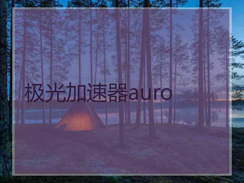 极光加速器auro