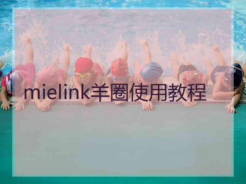 mielink羊圈使用教程