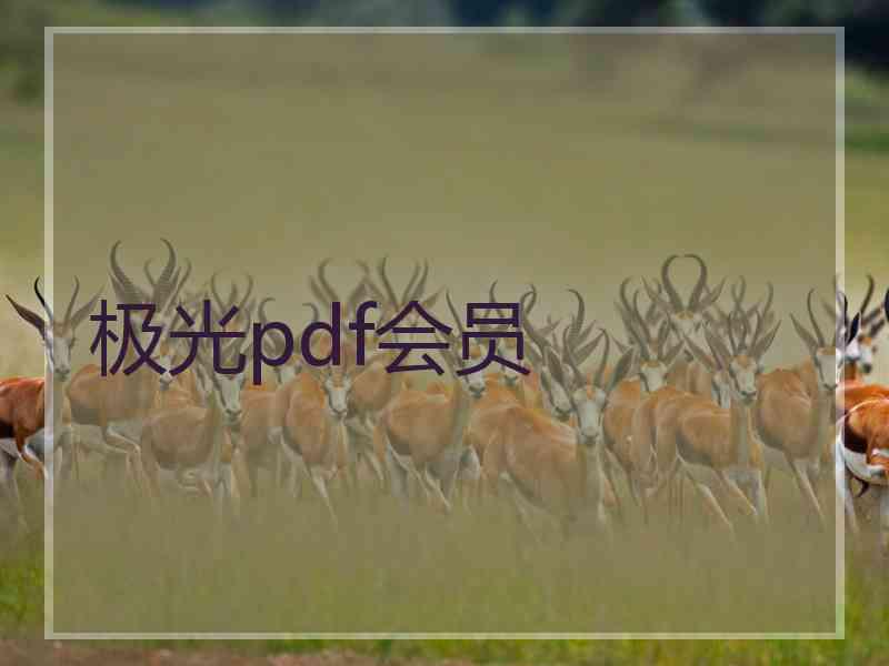 极光pdf会员