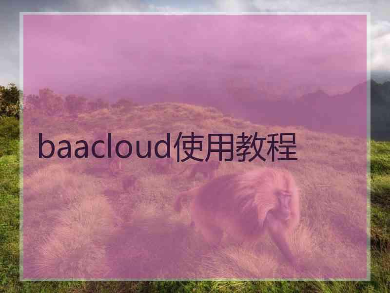 baacloud使用教程