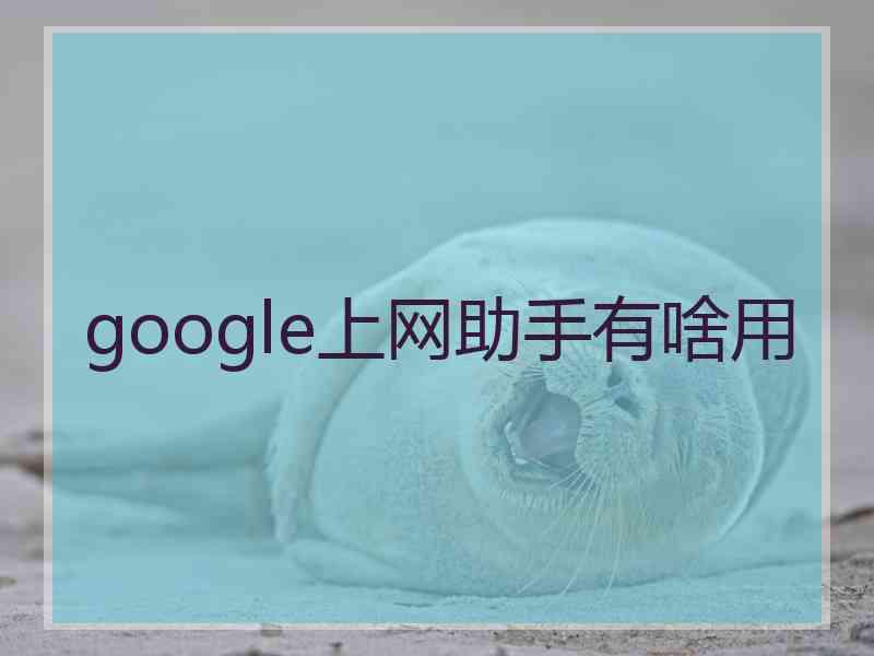 google上网助手有啥用