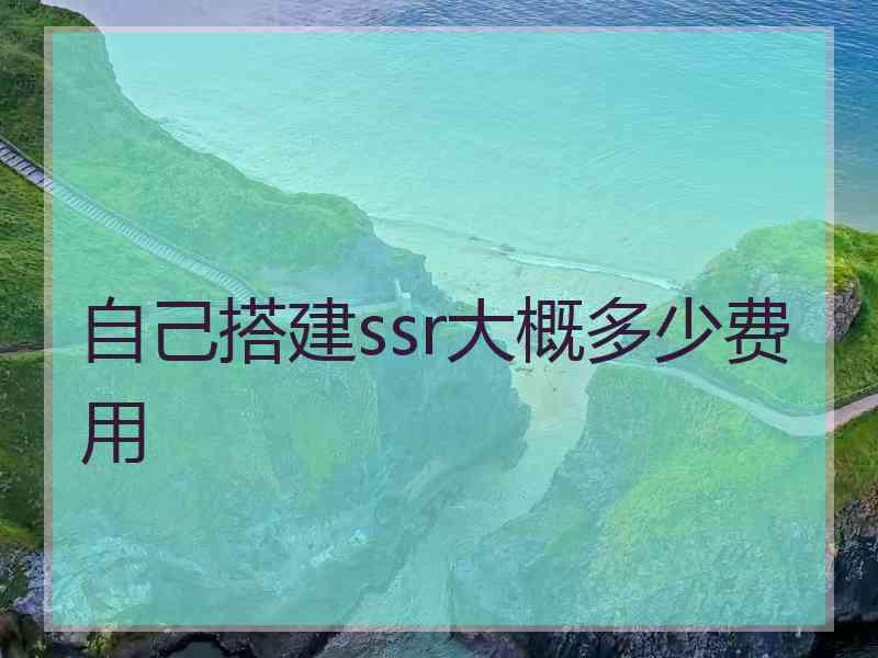 自己搭建ssr大概多少费用