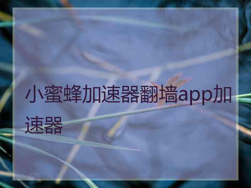 小蜜蜂加速器翻墙app加速器