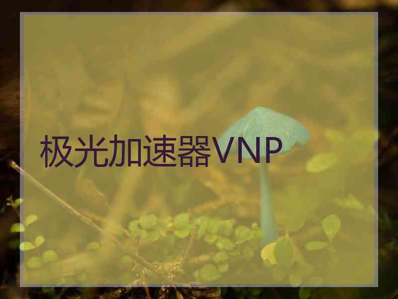 极光加速器VNP