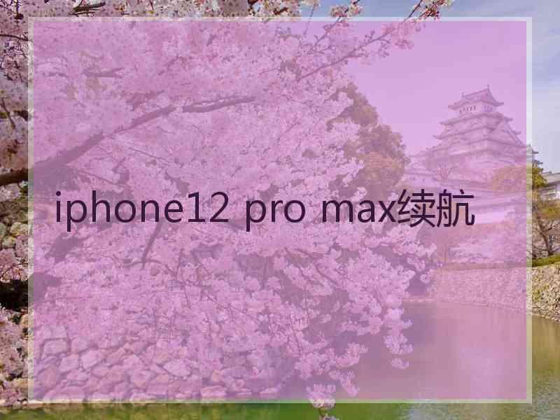 iphone12 pro max续航