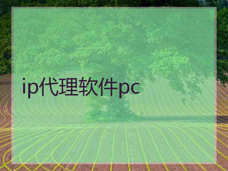 ip代理软件pc