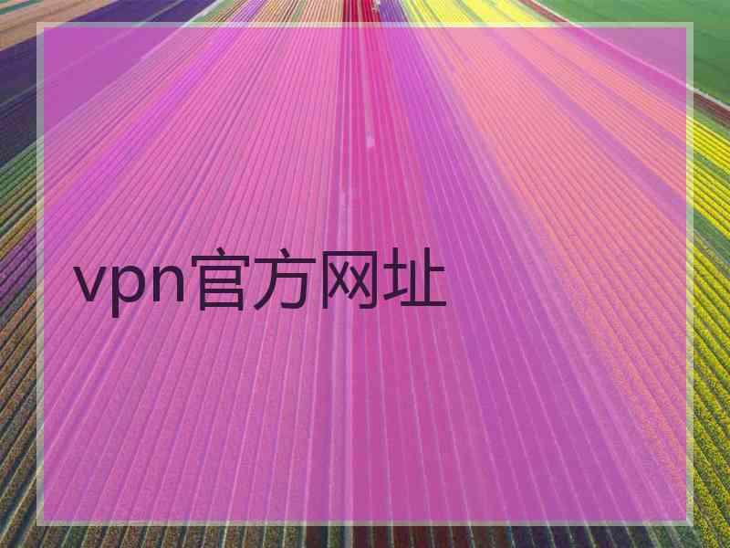 vpn官方网址