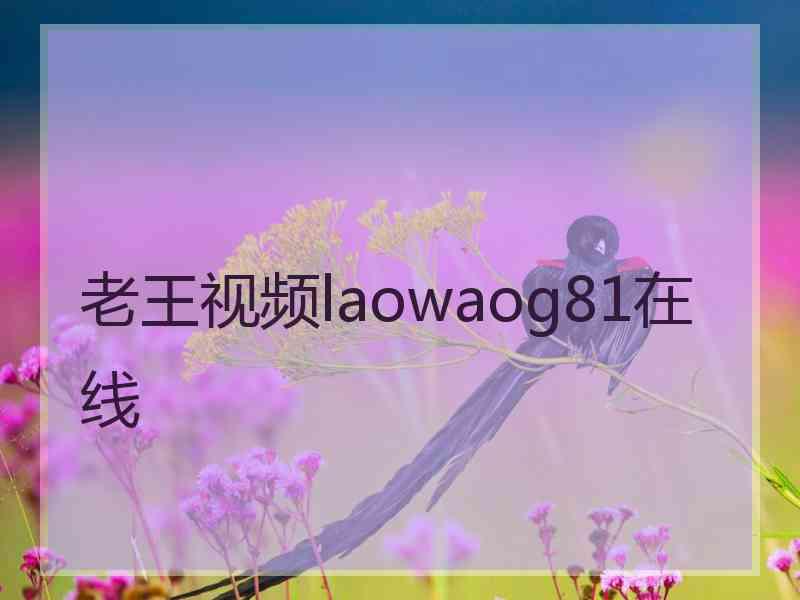 老王视频laowaog81在线