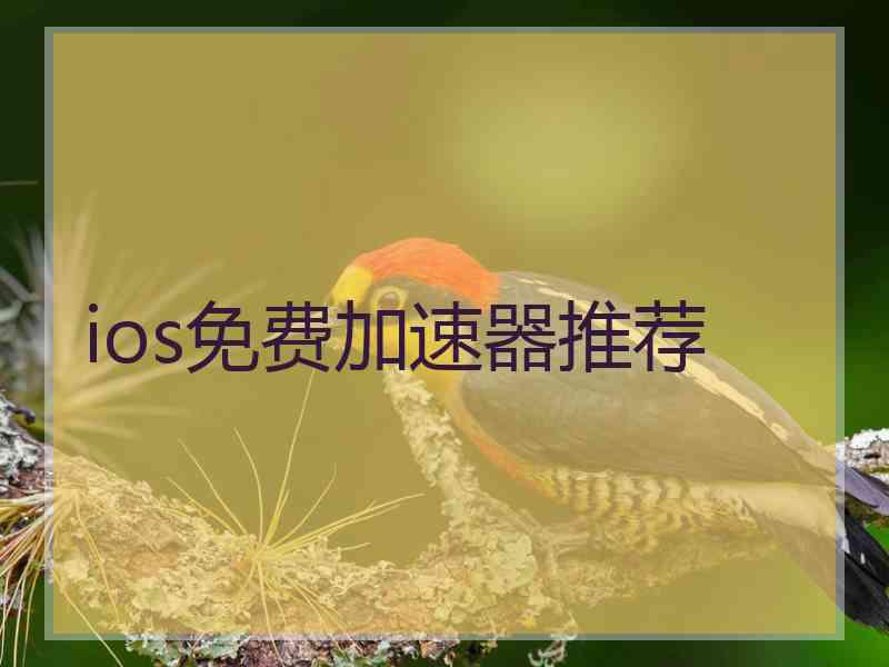 ios免费加速器推荐