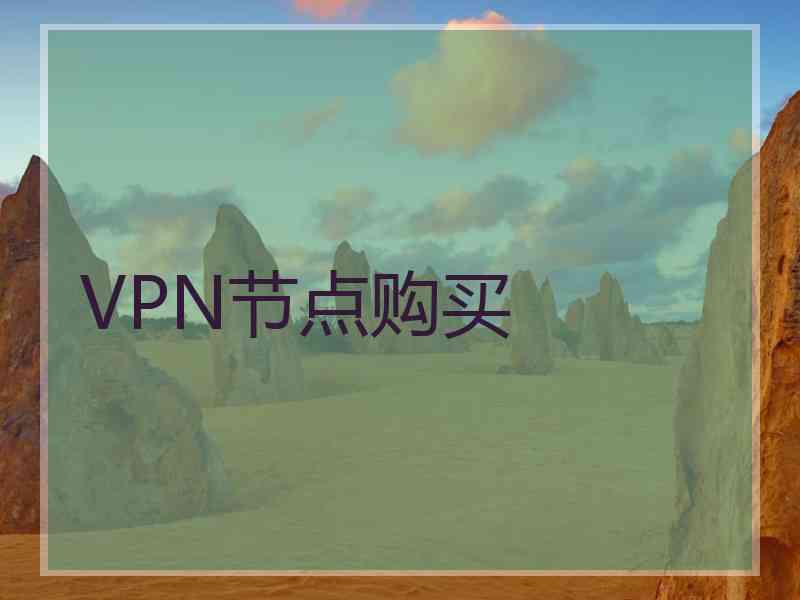 VPN节点购买