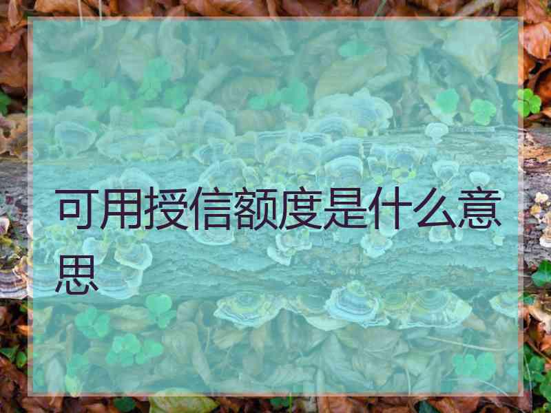 可用授信额度是什么意思