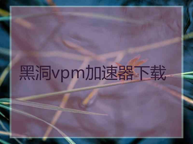 黑洞vpm加速器下载