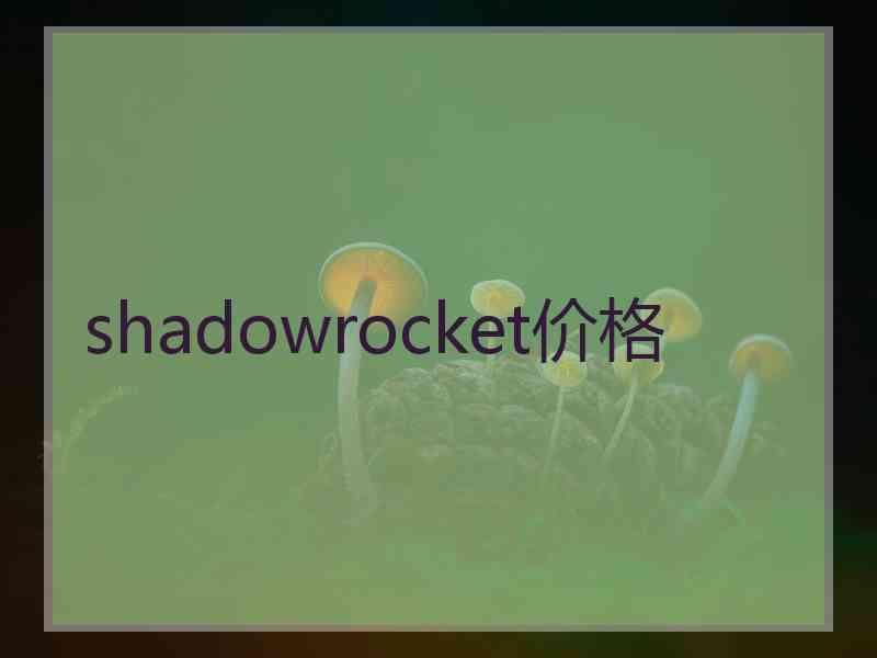 shadowrocket价格