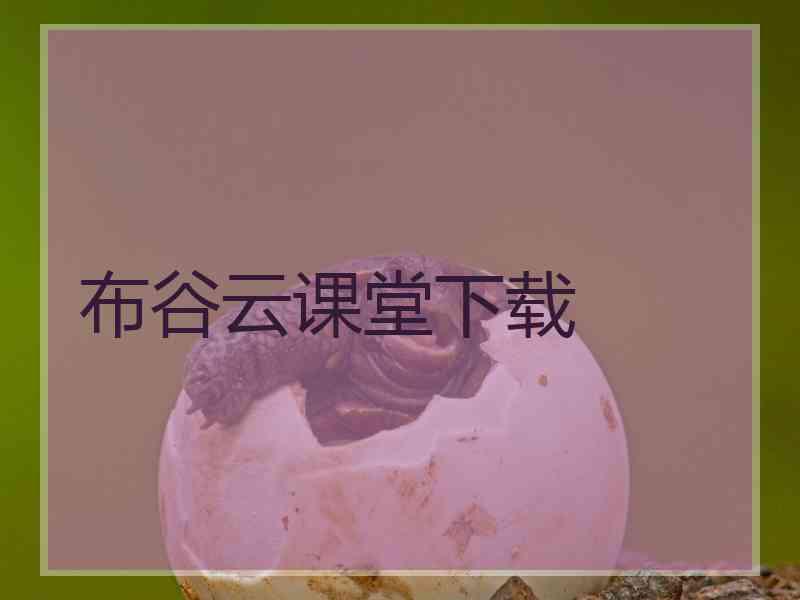 布谷云课堂下载