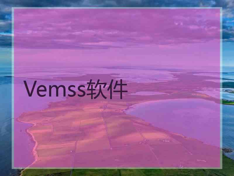 Vemss软件