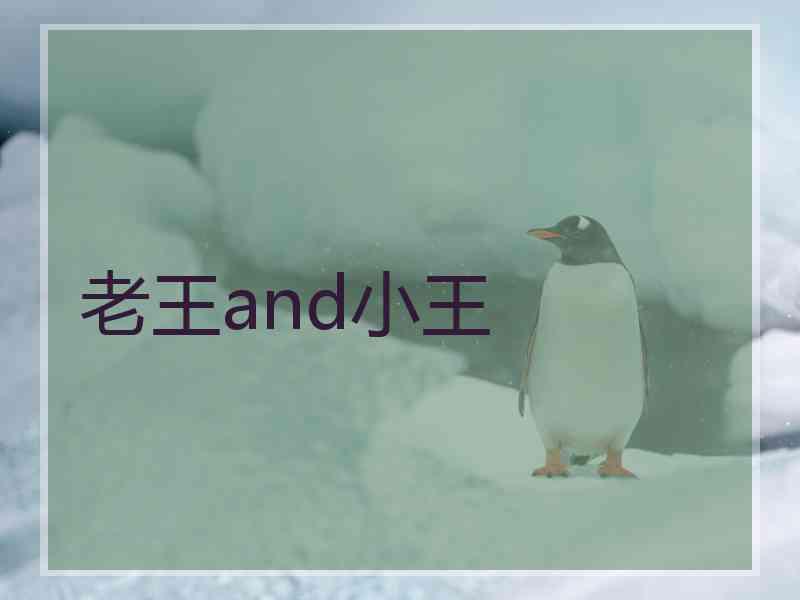 老王and小王